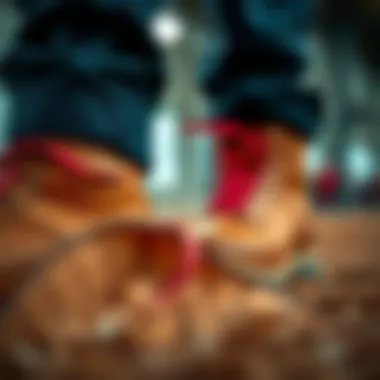 Quality Boot Materials Close-up of boot materials showcasing texture and quality